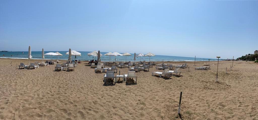 Lale Case de vacanță